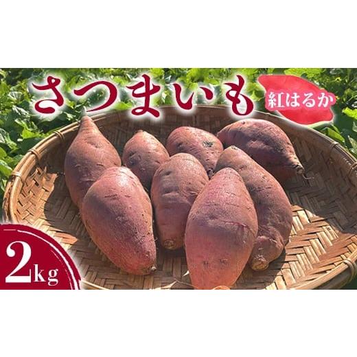 ふるさと納税 野菜類 サツマイモ 愛知県 美浜町 さつまいも2kg | サツマイモ 紅はるか かんしょ 美浜町産 知多半島産 愛知県産 国産 期間限定 北海道・沖縄…