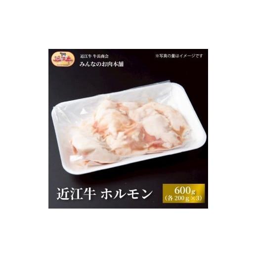 ふるさと納税 牛肉 ホルモン 滋賀県 野洲市 近江牛 ホルモン(200g×3個) 600g