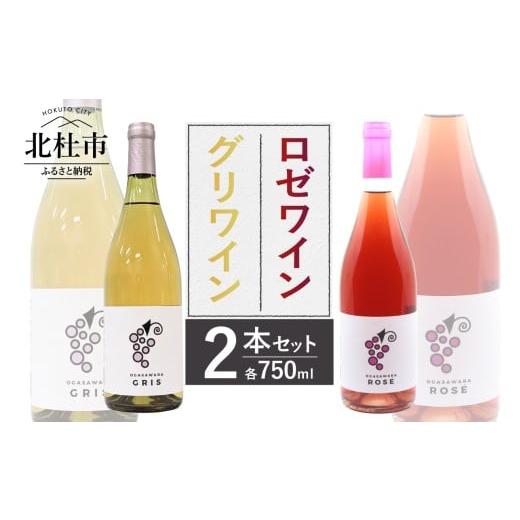 ふるさと納税 ワイン ロゼワイン 山梨県 北杜市 ロゼワイン・グリワイン2本セット 750ml 2本 辛口 数量限定 アルコール分10% 白ワイン アルコール分8% 飲み…