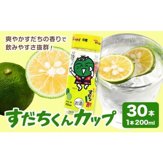 ふるさと納税 お酒 徳島県 上板町 すだちくんカップ すだち ワンカップ 酒 30本入り(1ケース) 日新酒類株式会社[30日以内に出荷予定(土日祝除く)]徳島県 上…