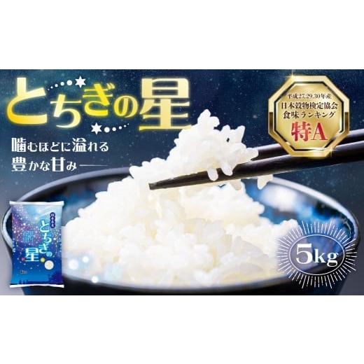 ふるさと納税 米 栃木県 那須塩原市 令和7年度産 栃木県産とちぎの星 精米 5kg 栃木県共通返礼品 ns120-003 米 精米 とちぎの星 国産 お米 ごはん