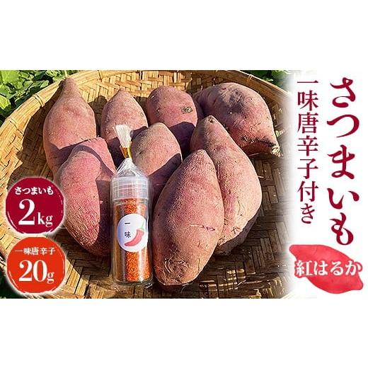 ふるさと納税 野菜類 サツマイモ 愛知県 美浜町 さつまいも2kg 一味唐辛子付き(20g)| サツマイモ 紅はるか かんしょ 美浜町産 知多半島産 愛知県産 国産 …