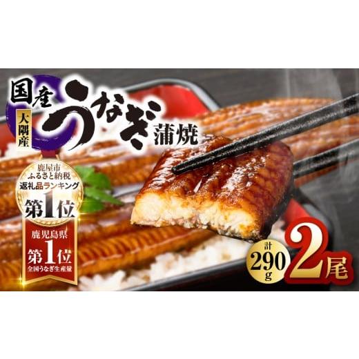 ふるさと納税 うなぎ 鹿児島県 鹿屋市 7営業日以内に発送 鹿児島県大隅産うなぎ蒲焼2尾(290g) KN110-001-YM