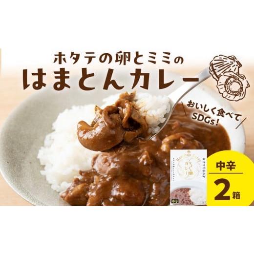 ふるさと納税 加工品等 レトルト 北海道 浜頓別町 ホタテの卵とミミのはまとんカレー(中辛)2箱