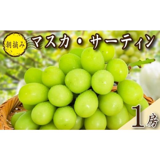 ふるさと納税 ぶどう マスカット 宮崎県 小林市 2026年発送 先行予約 特選大房朝摘み完熟マスカ・サーティン1房 750g程度(ブドウ ぶどう シャインマスカット…
