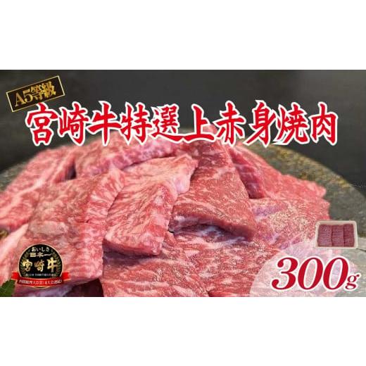 ふるさと納税 牛肉 焼肉・バーベキュー 宮崎県 小林市 新鮮チルド発送 A5等級宮崎牛特選上赤身焼肉 300g(黒毛和牛 牛肉 宮崎牛 赤身 焼肉用 宮崎県)