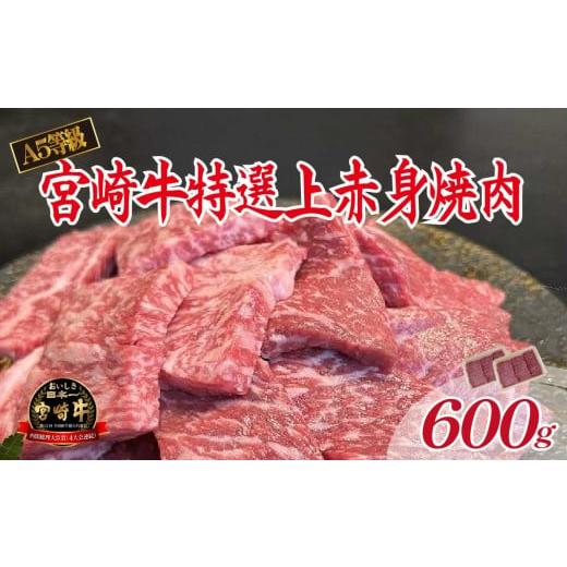 ふるさと納税 牛肉 焼肉・バーベキュー 宮崎県 小林市 新鮮チルド発送 A5等級宮崎牛特選上赤身焼肉 600g(黒毛和牛 牛肉 宮崎牛 赤身 焼肉用 宮崎県)