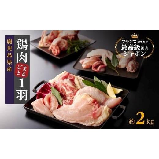 ふるさと納税 鹿児島県 大崎町 幻の性成熟の鶏肉　シャポーン鹿児島鶏　1羽分バラシ（約2kg) 