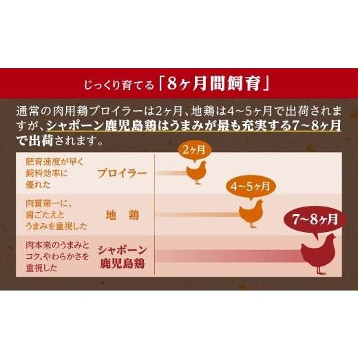 ふるさと納税 鹿児島県 大崎町 幻の性成熟の鶏肉　シャポーン鹿児島鶏　1羽分バラシ（約2kg) 