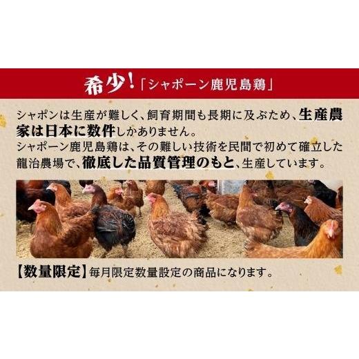 ふるさと納税 鹿児島県 大崎町 幻の性成熟の鶏肉　シャポーン鹿児島鶏　1羽分バラシ（約2kg) 