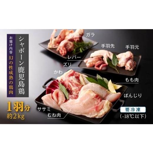 ふるさと納税 鹿児島県 大崎町 幻の性成熟の鶏肉　シャポーン鹿児島鶏　1羽分バラシ（約2kg) 