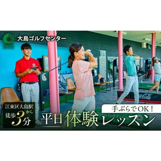ふるさと納税 体験チケット 東京都 江東区 手ぶらでOK 平日 体験レッスン (お一人様一回限り) ゴルフ 練習場 天然芝 体験 レッスン 利用券 チケット