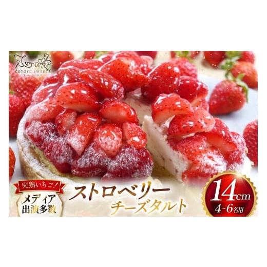 ふるさと納税 ケーキ・カステラ タルト 長崎県 平戸市 期間限定発送 母の日ギフト いちご タルト ストロベリー チーズタルト 1ホール 14cm 心優-Cotoyu Sweet…