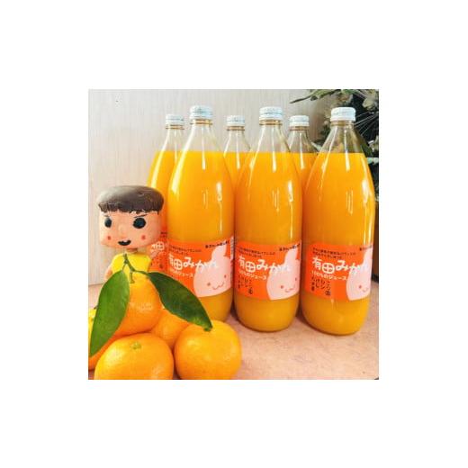 ふるさと納税 果汁飲料 みかん 和歌山県 紀美野町 大人気 有田みかん100%のジュース1,000ml×2本セット 着日指定不可