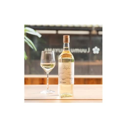 ふるさと納税 ワイン 白ワイン 岡山県 津山市 SUMU シャインマスカット・レイトハーベスト 2022(720ml) 1699830