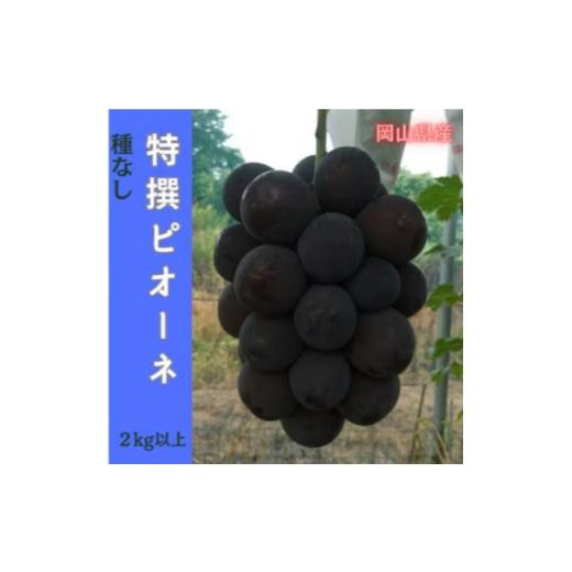 ふるさと納税 ぶどう 岡山県 津山市 2026年先行予約 岡山のぶどう(ピオーネ)2kg(4〜5房)_ピオーネ ぶどう 2kg 大粒 贈答 ギフト フルーツ 果物 岡山県 津山市…