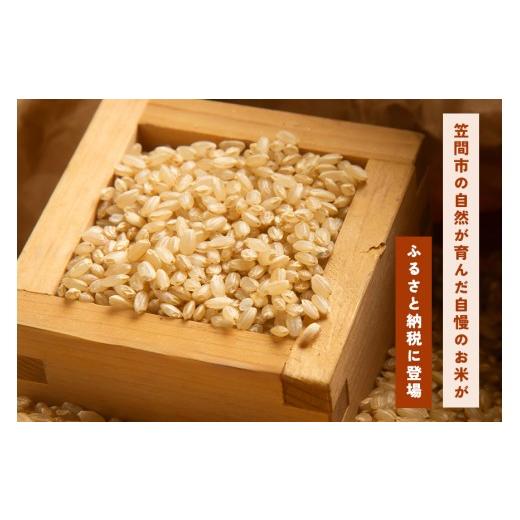 ふるさと納税 玄米 茨城県 笠間市  14日以内発送(最短) 玄米 5kg 6ヵ月 定期便 (合計30kg) にじのきらめき お米 お弁当 おにぎり 国産 茨城県 笠間市 いばらき…の画像