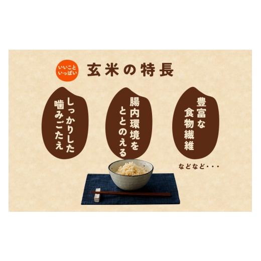 ふるさと納税 玄米 茨城県 笠間市  14日以内発送(最短) 玄米 5kg 6ヵ月 定期便 (合計30kg) にじのきらめき お米 お弁当 おにぎり 国産 茨城県 笠間市 いばらき…の画像