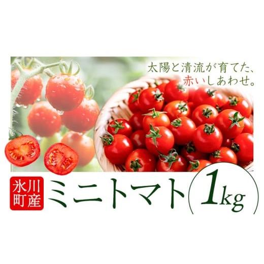 ふるさと納税 野菜類 トマト 熊本県 氷川町 ミニトマト 約1kg 氷川アグリクラブ トマト 熊本[2月上旬-4月末頃出荷]熊本県 氷川町 野菜 熊本県産 サラダ プチ…