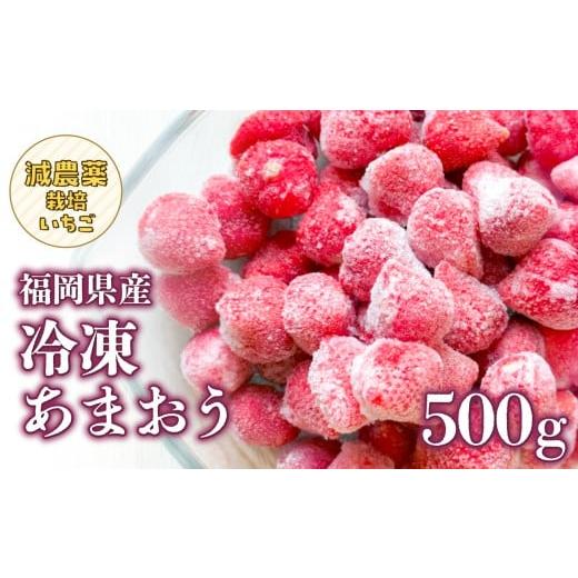 ふるさと納税 いちご 福岡県 八女市 冷凍いちご 500g×1パック 大月いちご園 あまおう いちご 苺 イチゴ フルーツ くだもの 朝採り 冷凍 アレンジ 小分け 食べ…