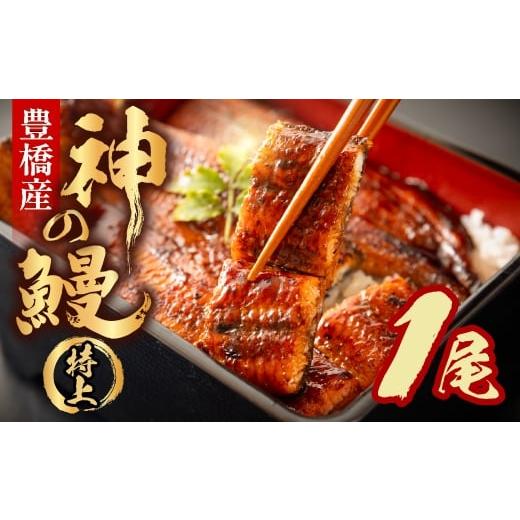 ふるさと納税 うなぎ 愛知県 豊橋市 3月お届け うなぎの新ブランド、開幕。『神の鰻』1尾 国産 特上 選べる お届け時期 鰻 うなぎ unagi ウナギ 蒲焼 長蒲焼 …