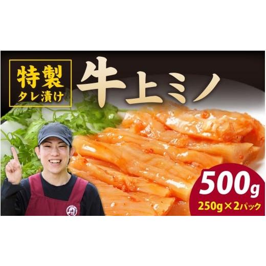 ふるさと納税 牛肉 焼肉・バーベキュー 福井県 永平寺町 豪州産 特製タレ漬け 牛上ミノ 250gx2パック (計500g) B-019010 2パック