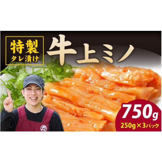 ふるさと納税 牛肉 焼肉・バーベキュー 福井県 永平寺町 豪州産 特製タレ漬け 牛上ミノ 250gx3パック (計750g) B-019011 250gx3パック (計750g) | 20,000円