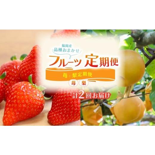 ふるさと納税 果物の詰合せ 福岡県 川崎町 フルーツ 定期便 2回 ( あまおう 梨 ) 苺 あまおう 約560g 梨 5kg 福岡県産 あまおう 梨 豊水 なし 果物 定期便 予…