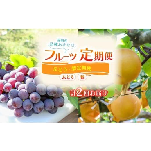 ふるさと納税 果物の詰合せ 福岡県 川崎町 フルーツ 定期便 2回 ( ぶどう 梨 ) ぶどう 2kg 梨 5kg 選べる回数 福岡県産 葡萄 巨峰 梨 豊水 なし 果物 定期便 …