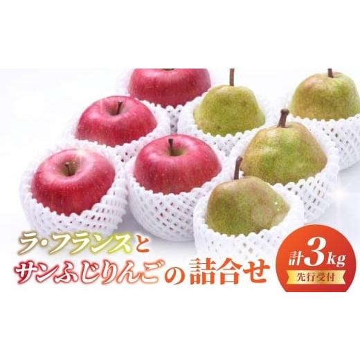 ふるさと納税 りんご 山形県 大江町 [先行受付]ラ・フランスとサンふじりんごの詰合せ3kg 2026年11月頃より順次発送予定 060-018