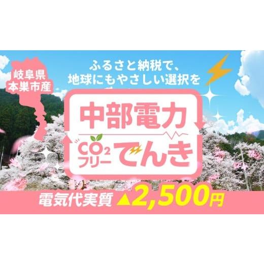 ふるさと納税 イベントやチケット等 岐阜県 本巣市 本巣市産 CO2 フリーでんき 10,000円コース(電気代実質マイナス2,500円)(注:お申込み前に申込条件を必…