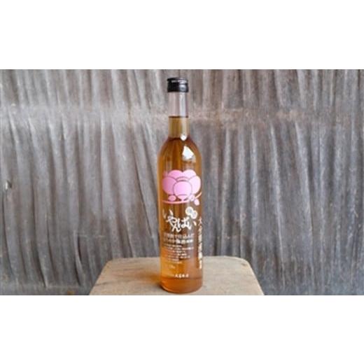 ふるさと納税 洋酒・リキュール類 大分県 臼杵市 シェリー香る「いやんばい梅酒」