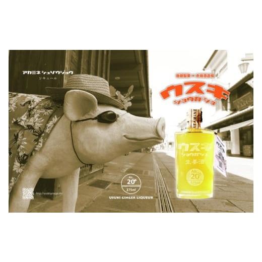 ふるさと納税 お酒 リキュール 大分県 臼杵市 赤嶺酒造場のこだわりリキュール「臼杵生姜酒 (ジンジャー・リキュール)」