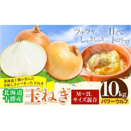 ふるさと納税 ねぎ・玉ねぎ 北海道 本別町 玉ねぎ 10kg パワーウルフ 山下農場[2026年9月中旬-10月末頃出荷] 北海道 本別町 たまねぎ タマネギ 万能 北海道…