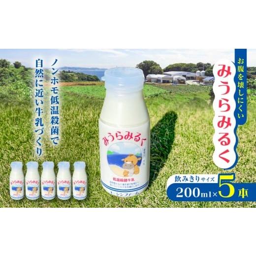 ふるさと納税 飲料類 牛乳 神奈川県 三浦市 みうらみるく飲みきりサイズ200ml×5本 M091-001-02