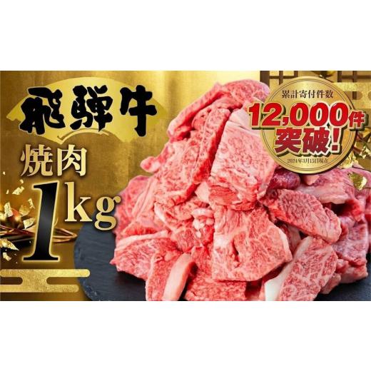 ふるさと納税 牛肉 焼肉・バーベキュー 岐阜県 白川村 人気急上昇 2月発送 牛肉 訳あり 飛騨牛 焼肉用 切り落とし肉 1kg 25000円 訳アリ 焼き肉用 切り落とし…