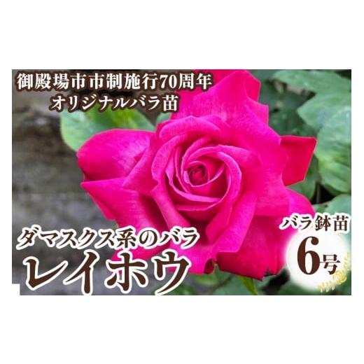 ふるさと納税 雑貨・日用品 苗木 静岡県 御殿場市 バラ鉢苗「レイホウ」 | 薔薇 鉢 苗 苗木 2026年4月頃より順次発送予定 離島への配送不可