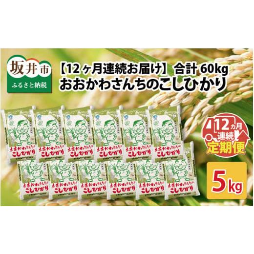ふるさと納税 米 コシヒカリ 福井県 坂井市 令和7年産 定期便 12ヶ月連続お届け おおかわさんちのコシヒカリ 5kg × 12回 計60kg こしひかり 白米 米 お米 5キ…