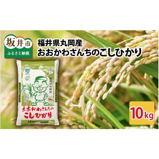 ふるさと納税 米 コシヒカリ 福井県 坂井市 おおかわさんちのこしひかり 10kg 令和7年産 コシヒカリ こしひかり 白米 米 お米 kome 10キロ 精米 ブランド米 ご…