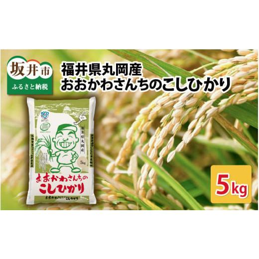 ふるさと納税 米 コシヒカリ 福井県 坂井市 おおかわさんちのこしひかり 5kg 令和7年産 コシヒカリ こしひかり 白米 米 お米 kome 5キロ 精米 ブランド米 ごは…
