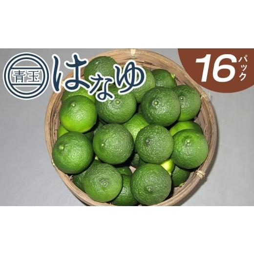 ふるさと納税 みかん・柑橘類 高知県 香南市 2026年7月以降順次配送 柚子 花柚子 虎弥太郎 はなゆ青玉 16パック - 国産 ゆず 柚子 ユズ 花柚子 柑橘 香酸柑橘…