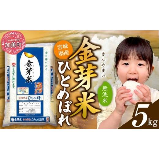 ふるさと納税 健康食品 宮城県 加美町 5kg 令和7年 無洗米 金芽米 宮城県産 ひとめぼれ 5kg 新米 米 小分け 便利 時短 栄養 健康 低糖質 低カロリー 糖質オフ…