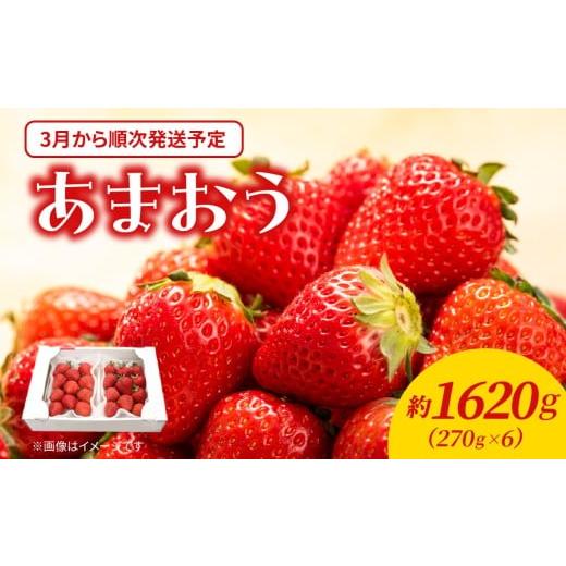 ふるさと納税 いちご 福岡県 八女市 2026年3月配送開始 福岡・博多名物ブランドいちご「あまおう」 6パック 合計約1,620g 配送不可:北海道・沖縄・離島 あま…