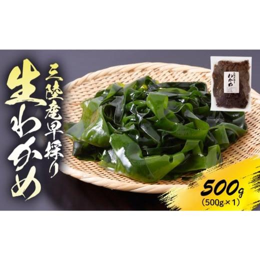 ふるさと納税 のり・海藻 わかめ 岩手県 大船渡市 先行予約 産地直送 早採り生わかめ 新物 冷蔵 500g 期間限定 2026年1月中旬〜発送予定 わかめ ワカメ 早採…