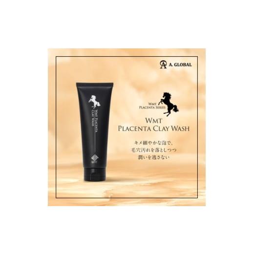 ふるさと納税 美容 岐阜県 羽島市 WMT PLACENTA CLAY WASH (美容 スキンケア) 1705061