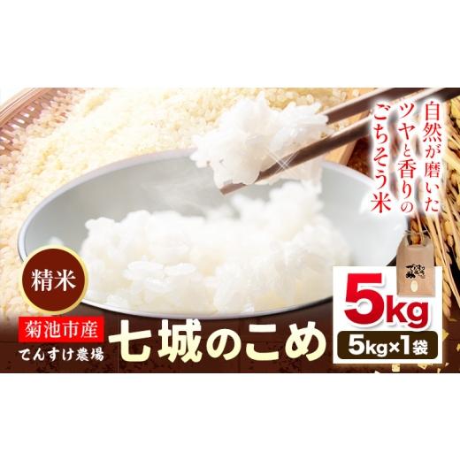 ふるさと納税 米 ヒノヒカリ 熊本県 菊池市 令和7年産 精米 七城のこめ 