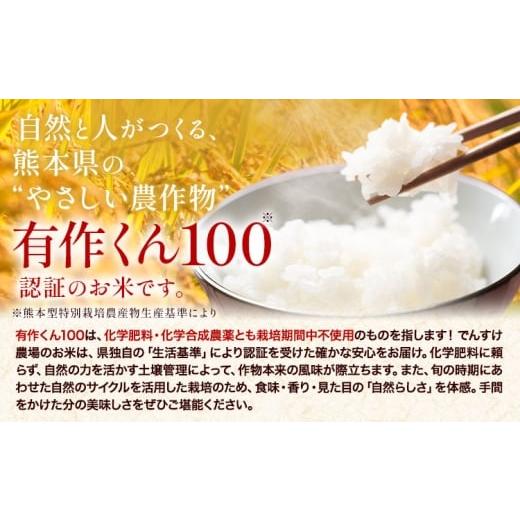 ふるさと納税 米 ヒノヒカリ 熊本県 菊池市 令和7年産 精米 七城のこめ 