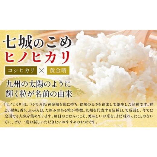 ふるさと納税 米 ヒノヒカリ 熊本県 菊池市 令和7年産 精米 七城のこめ 