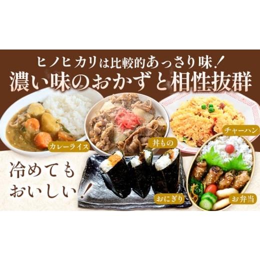 ふるさと納税 米 ヒノヒカリ 熊本県 菊池市 令和7年産 精米 七城のこめ 
