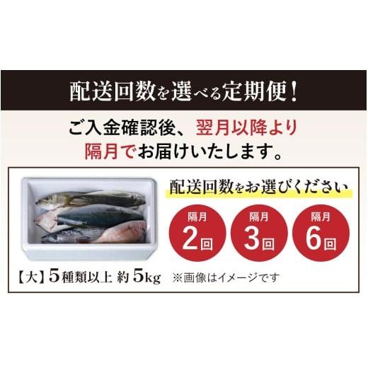 ふるさと納税 魚貝類 福井県 南越前町  先行予約 2回お届け 朝獲り 漁師厳選 鮮魚セット (大) 5種類以上 約5kg 2026年4月以降発送開始 お届け対象月 4月,6月,8…の画像